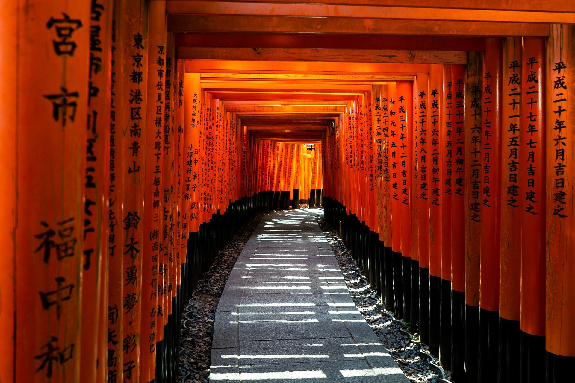 Japan Autumn Explorer