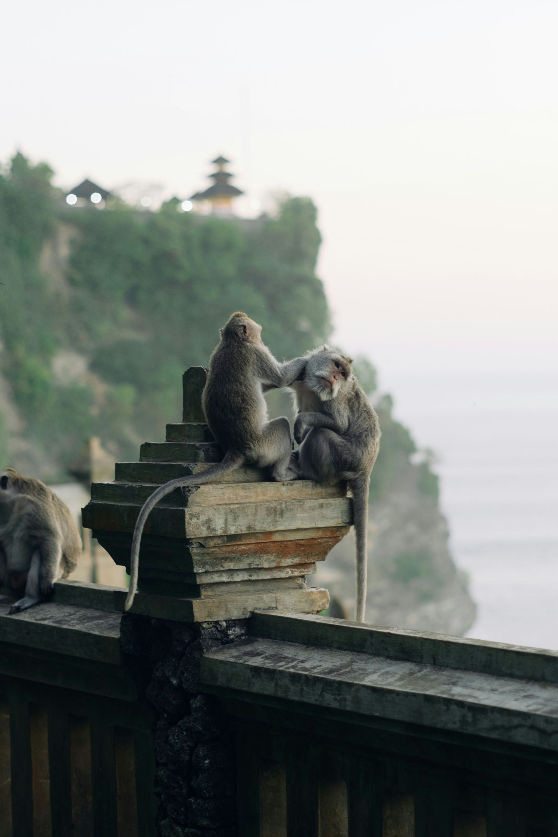 Best of Bali