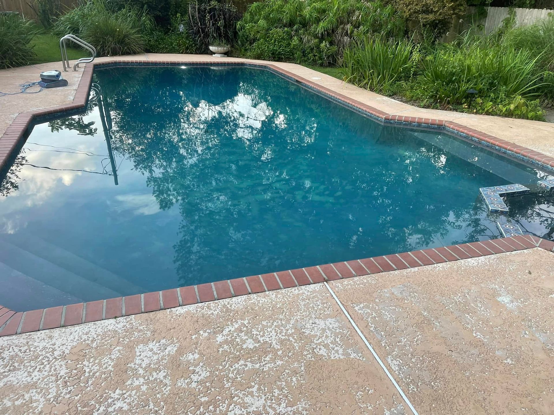 Backyard swimming pool with blue water, brick edging, and green plants around it