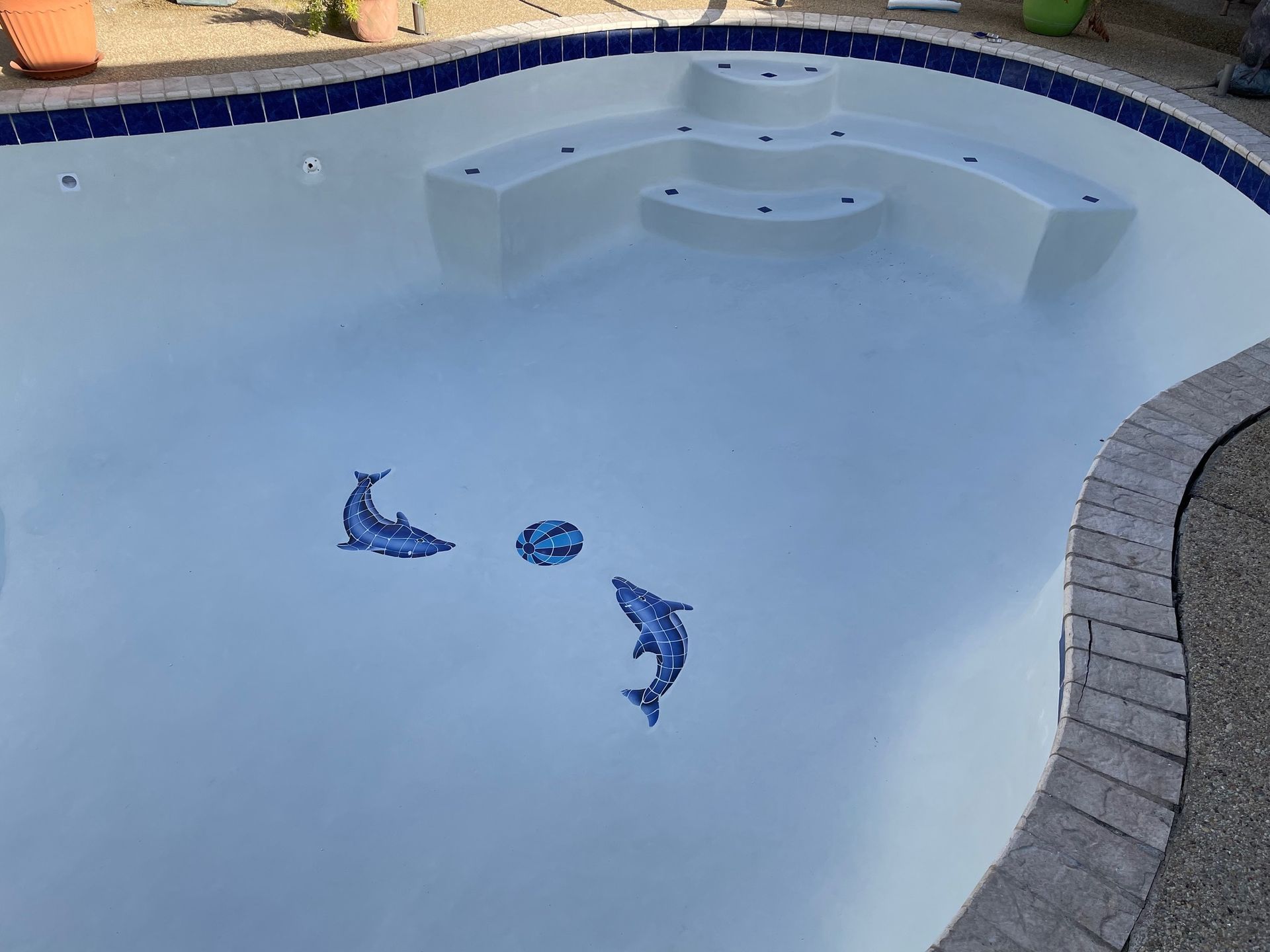 Empty swimming pool with blue dolphin mosaic and curved built-in seating