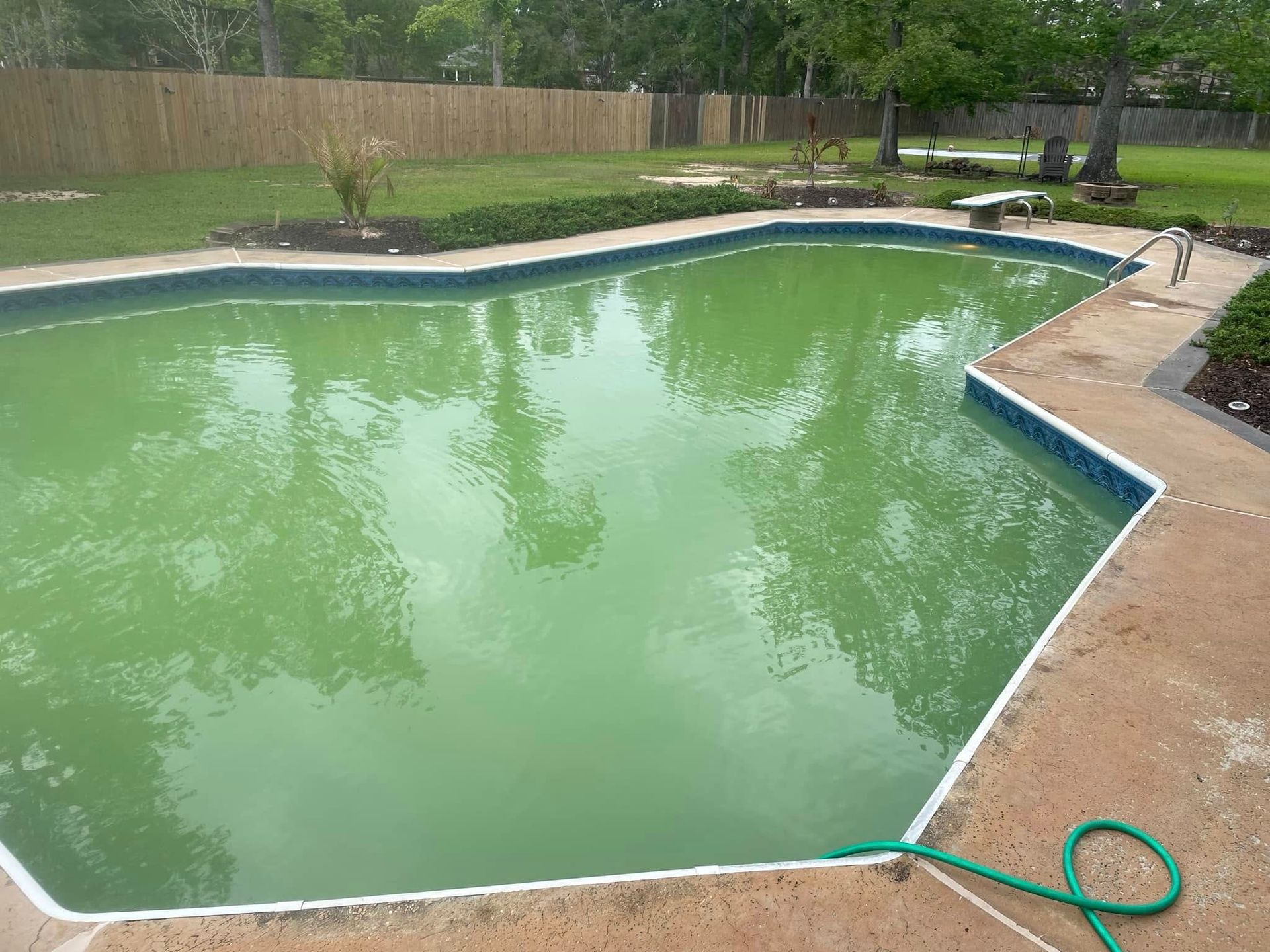 Backyard pool with green water, stone coping, and a hose on the patio