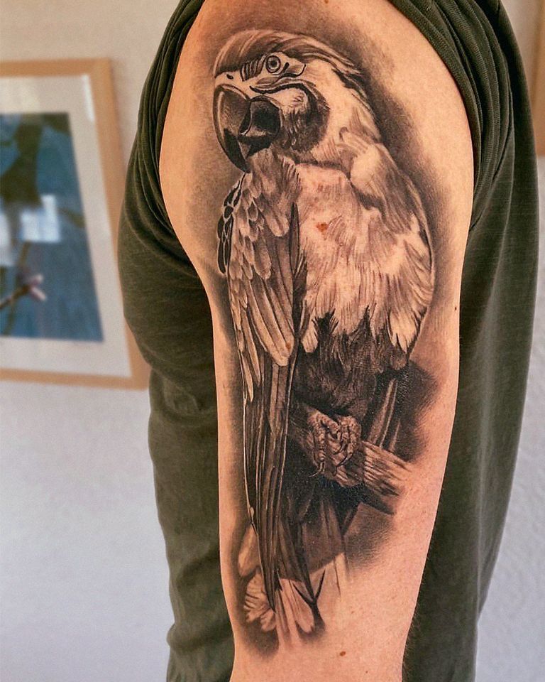 Papagai Tattoo