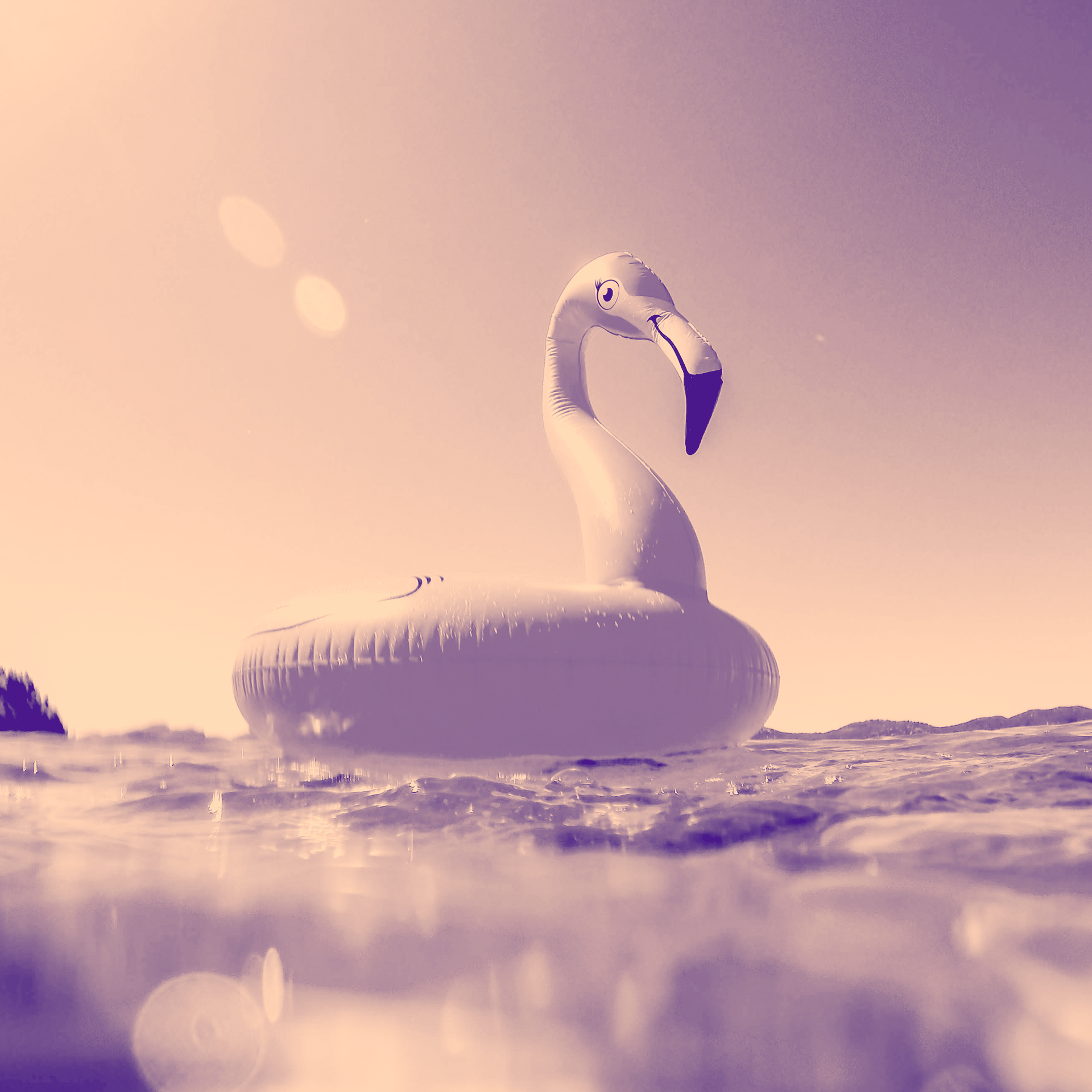 Holiday - Click to find out more