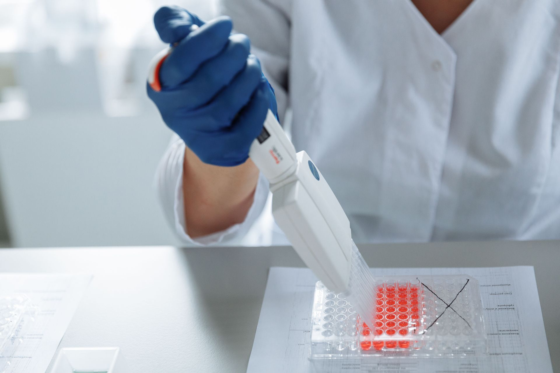 Gloved lab technician pipetting liquid into a clear microplate with red samples