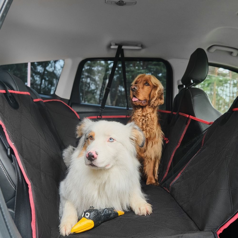 Gray car back seat folded flat with seatbelts visible in the rear interior