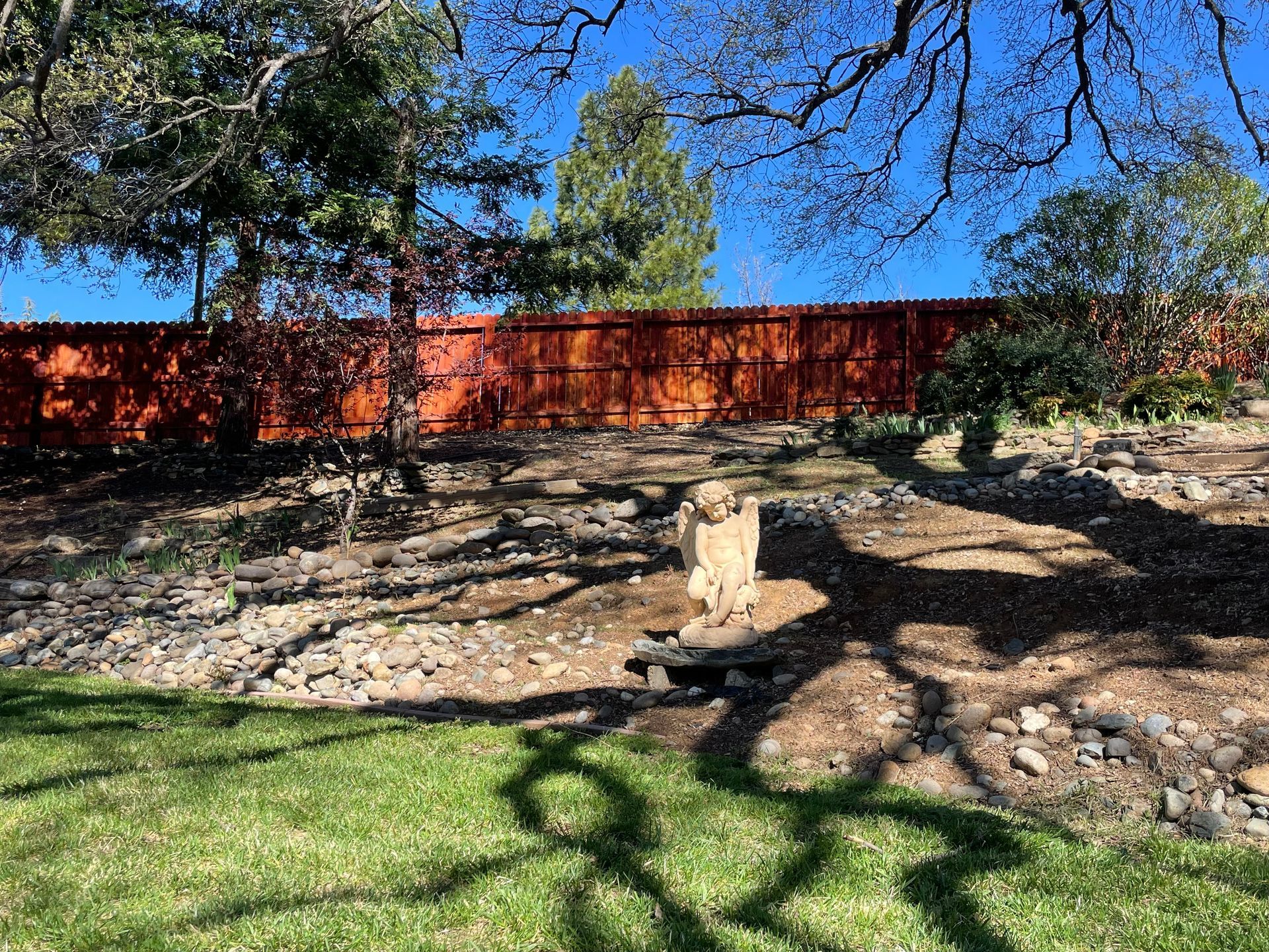 backyard wood fence restoration and staining