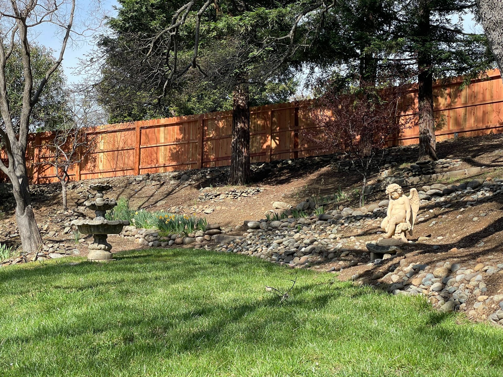 backyard wood fence repair
