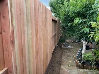 Narrow backyard path beside a tall wooden fence and dense greenery, with a small garden area on the right