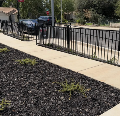 Sidewalk beside a black metal fence, with mulch beds and parked cars along a residential street.