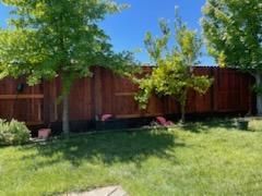 Backyard with green lawn, tall trees, and a long wooden fence under a bright blue sky