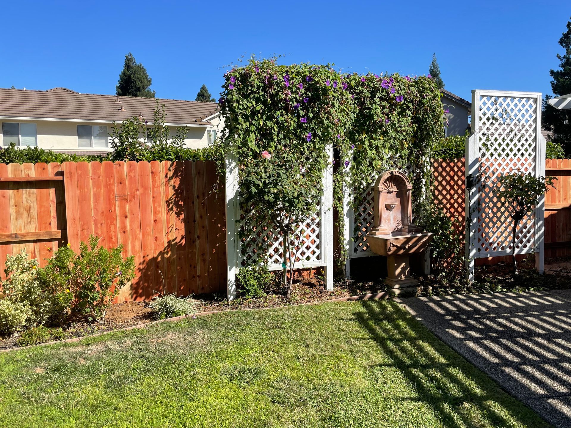 backyard wood fencing replacement