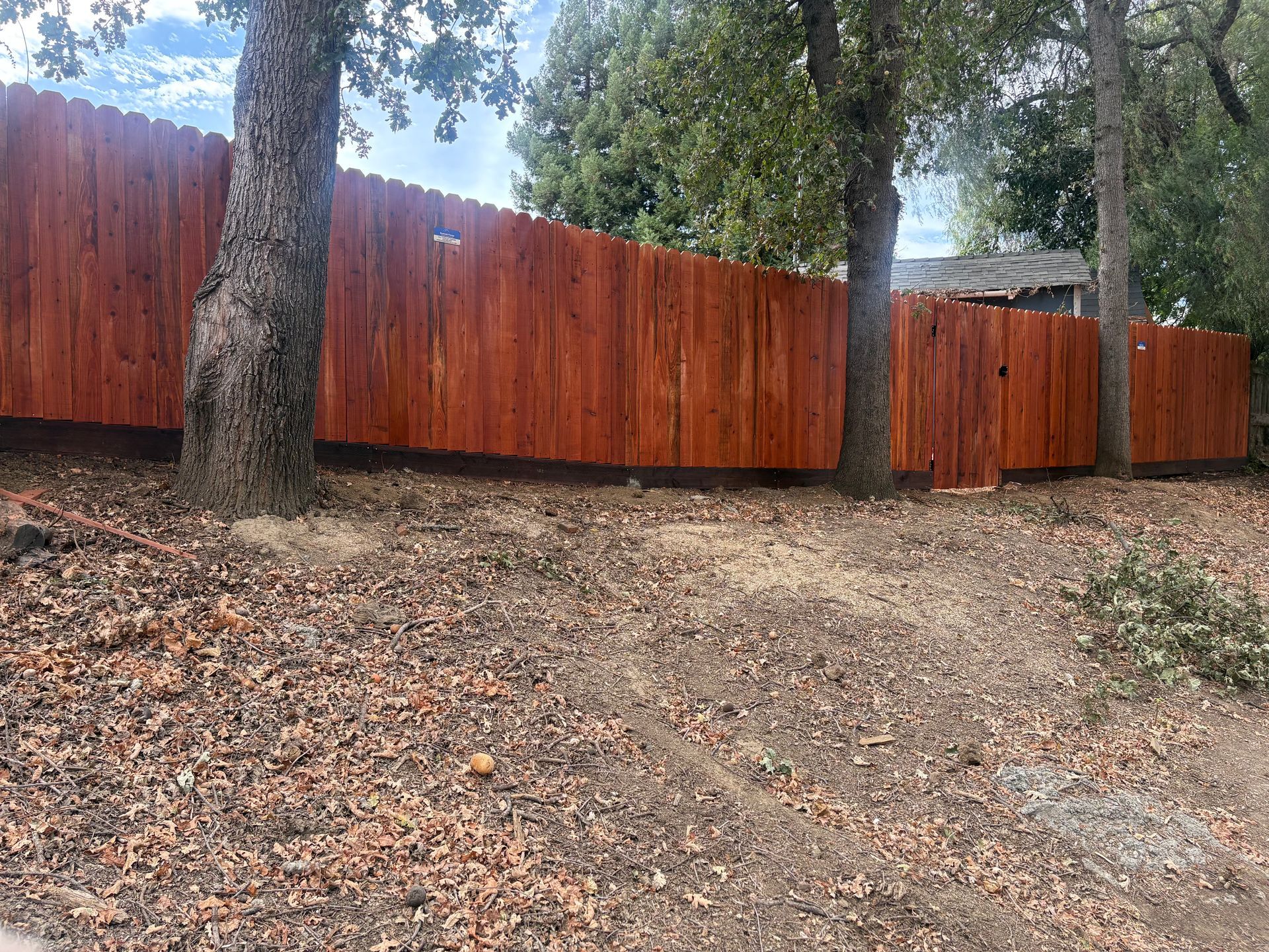 Wooden fence with trees on a dry, leaf-covered hillside in a yard