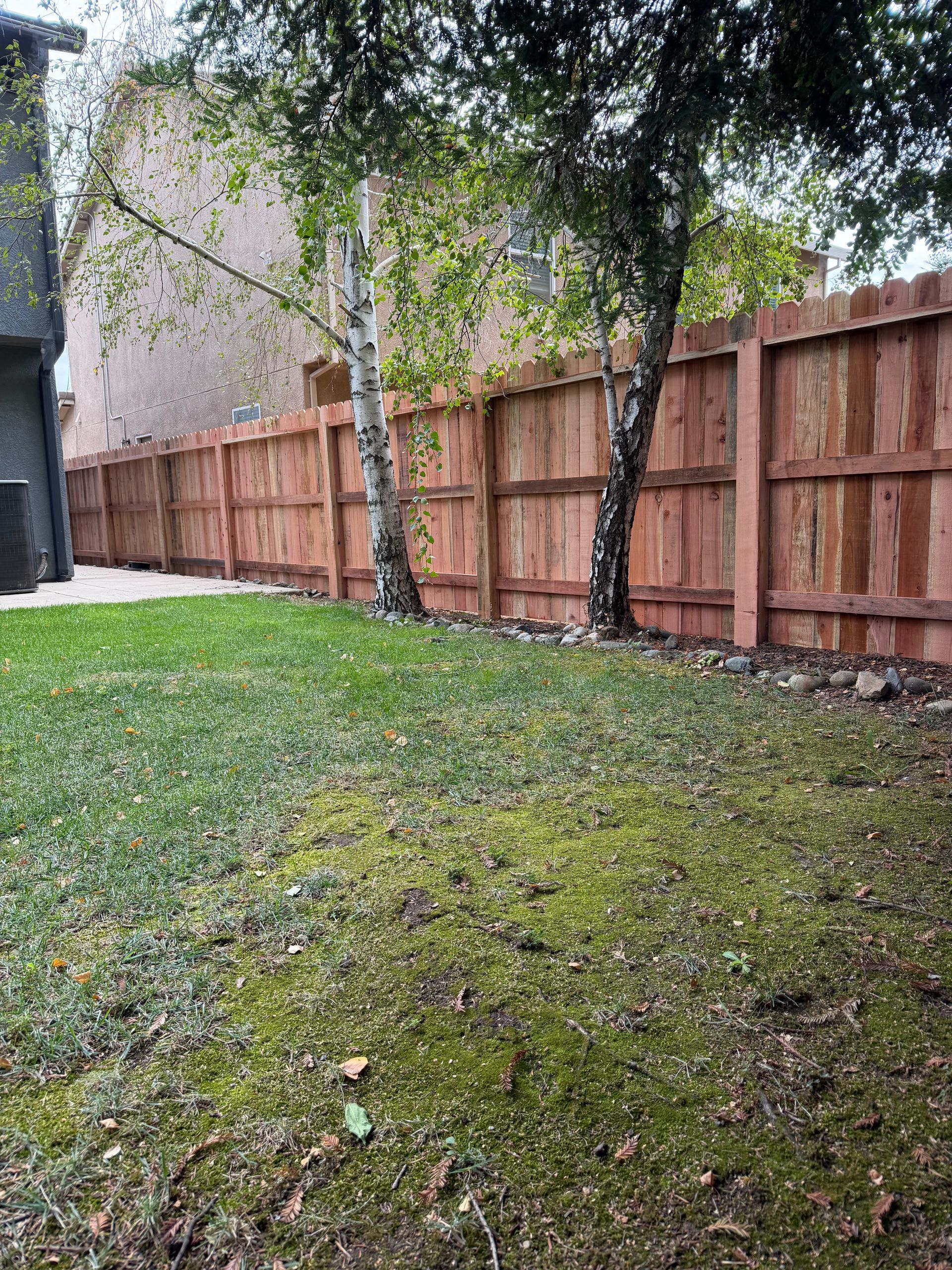 Backyard lawn with trees and a wooden fence on a cloudy day