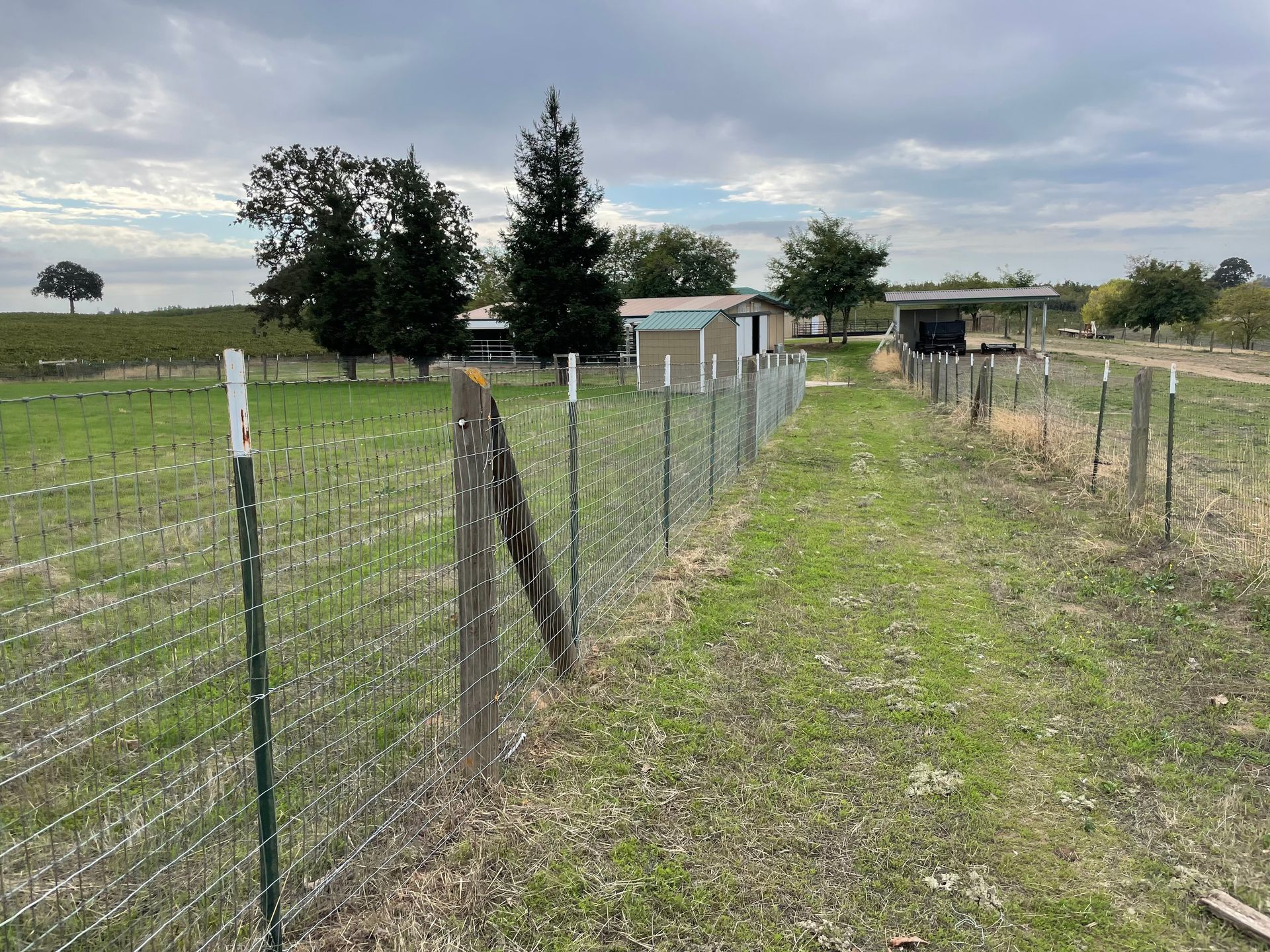 Green and silver wire fence leading toward a rural home on a cloudy day.