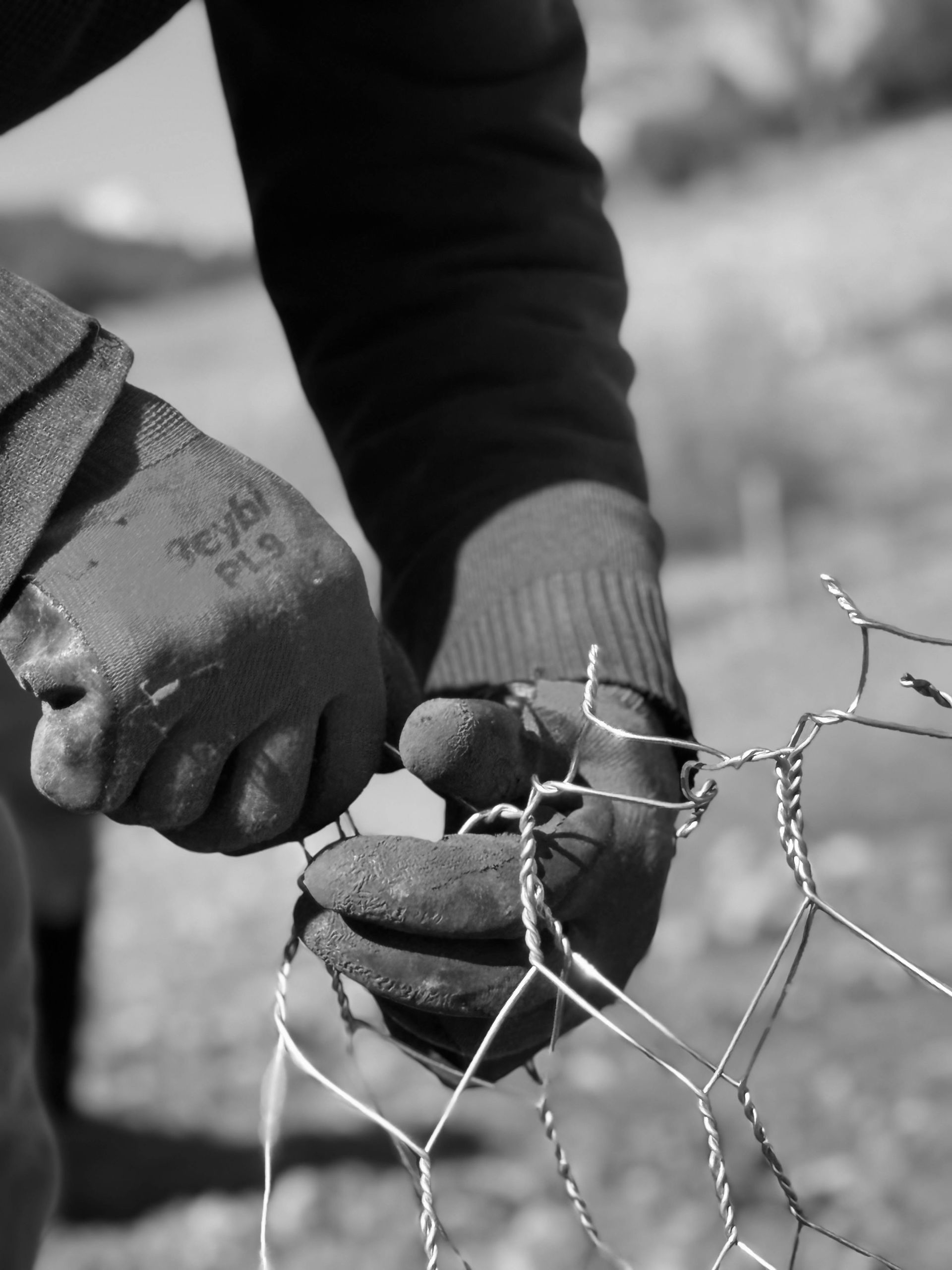 chain link fence repair