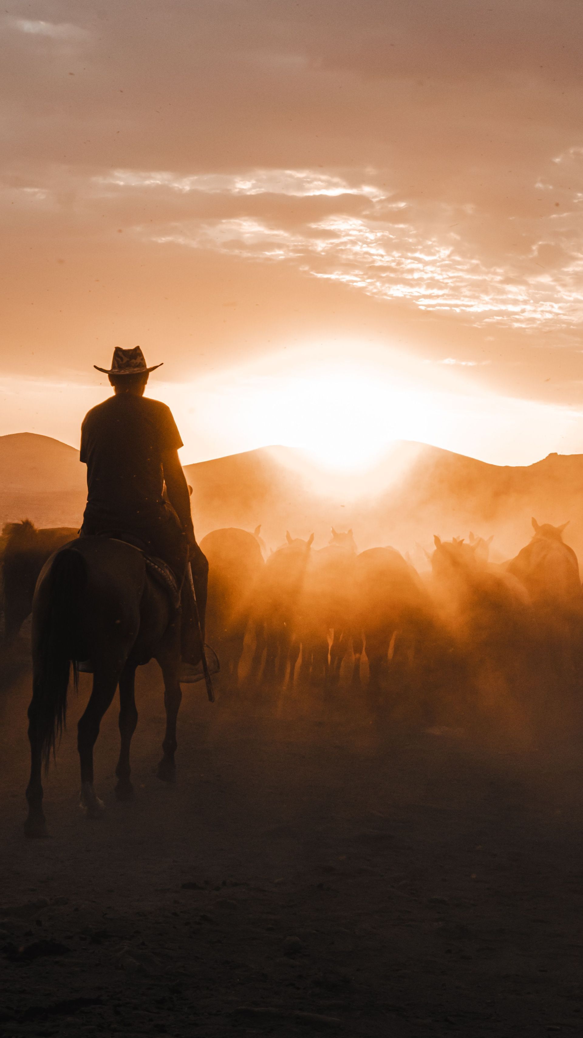 zone 0 ranch fencing