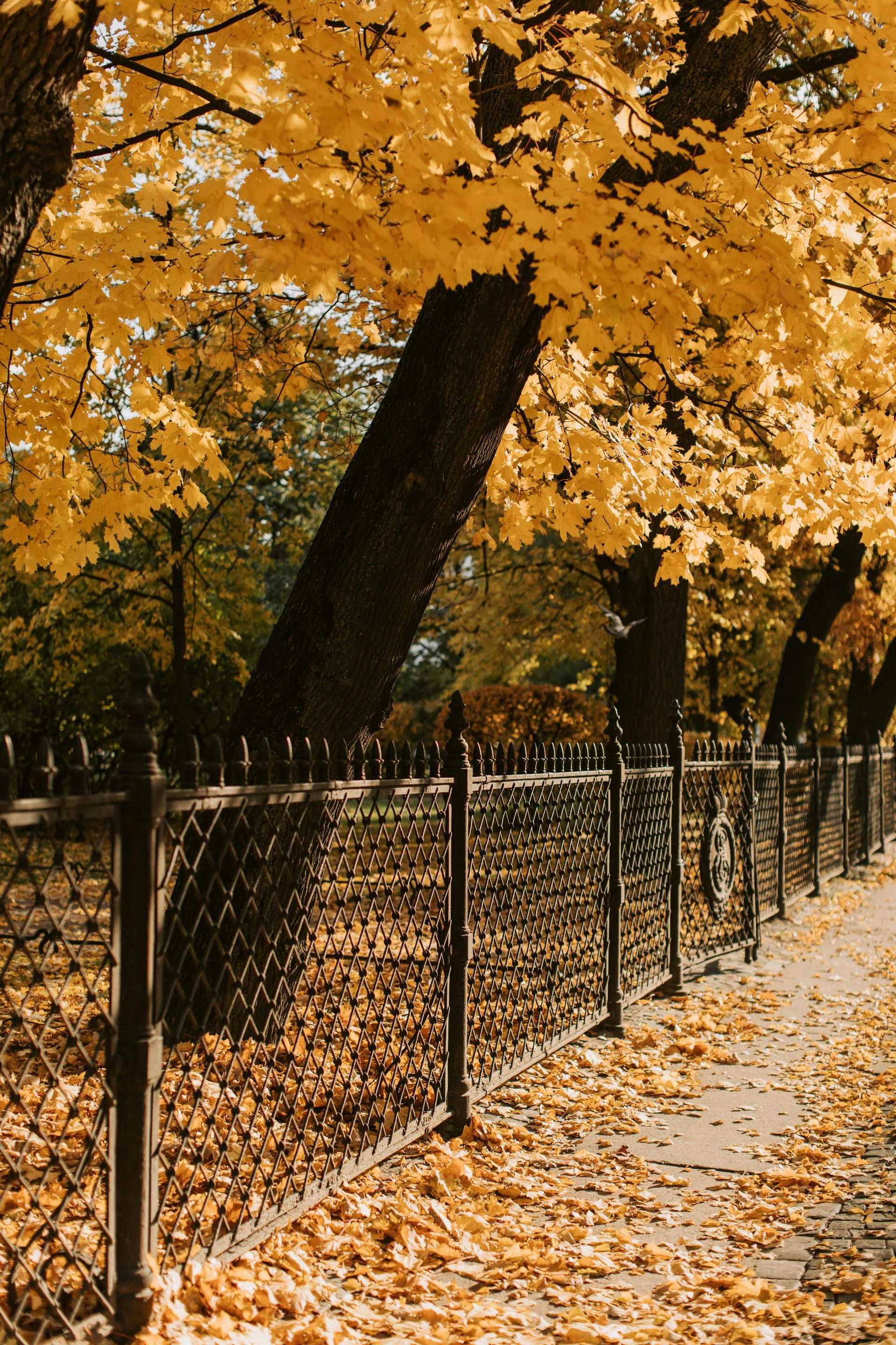 park fencing