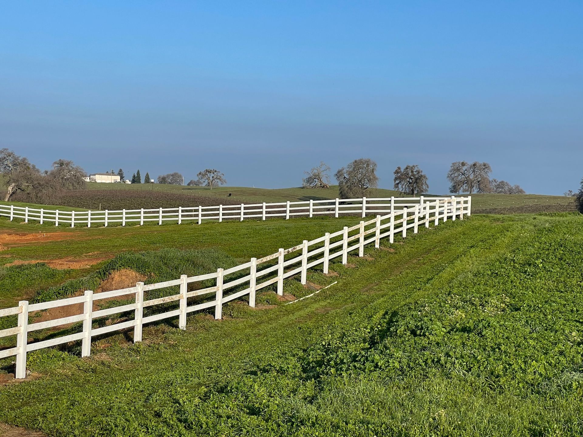 white ranch fencing