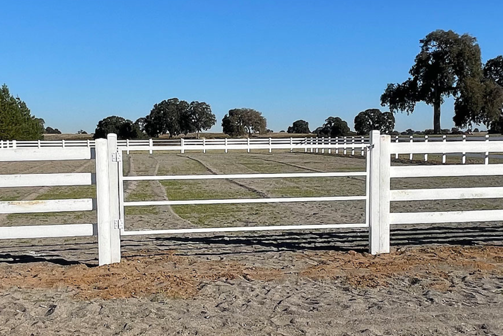 White fence surrounding a dirt field with trees in the background on a sunny day.