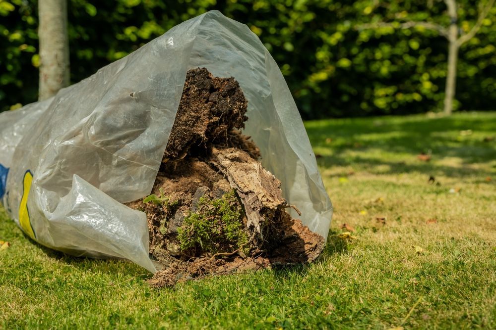 Plastic Bag Filled with Uprooted Grass and Soil on A Lawn Near Trees — Green Waste in Thuringowa Central, QLD