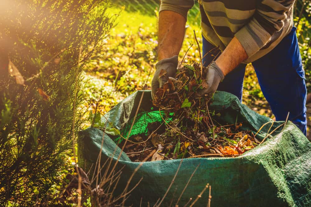 Collecting Leaves — Green Waste in Thuringowa Central, QLD