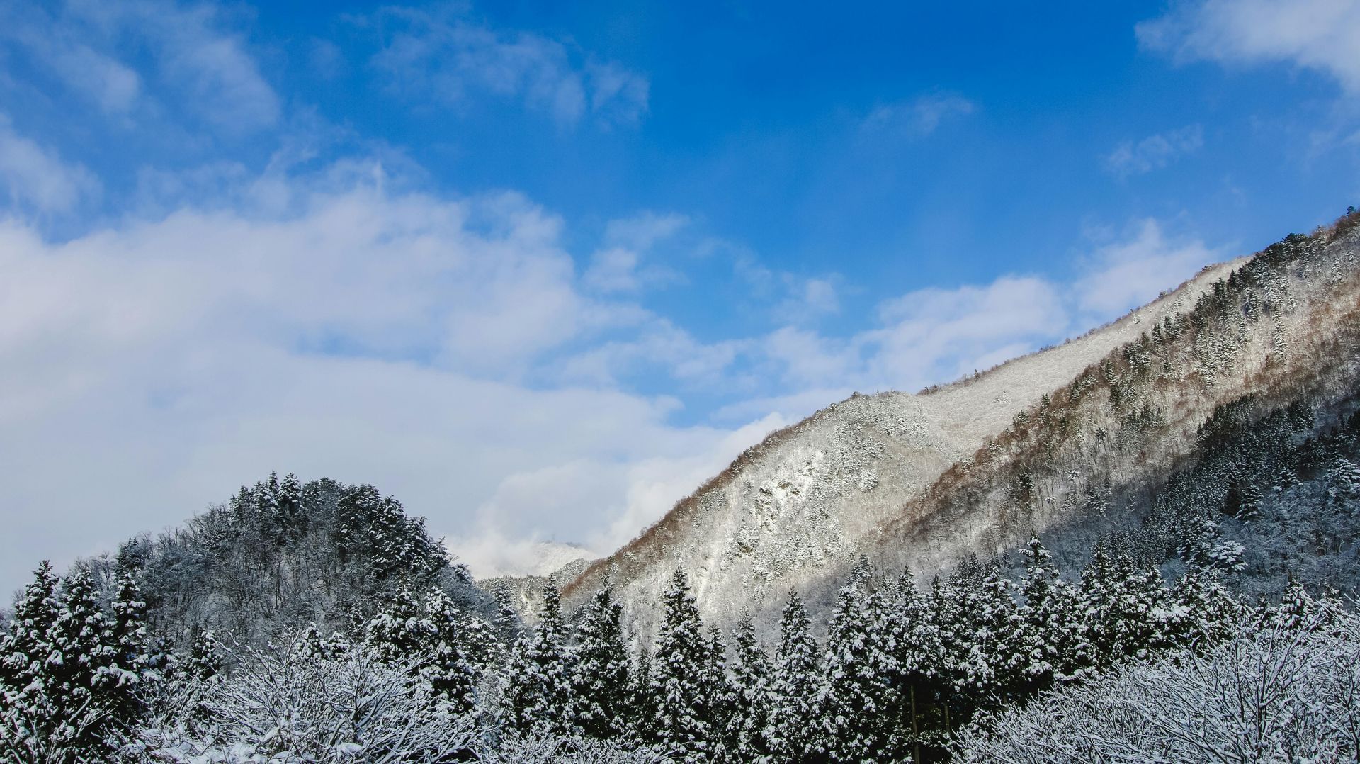 Montanhas cobertas de neve e árvores perenes sob um céu azul com nuvens dispersas.
