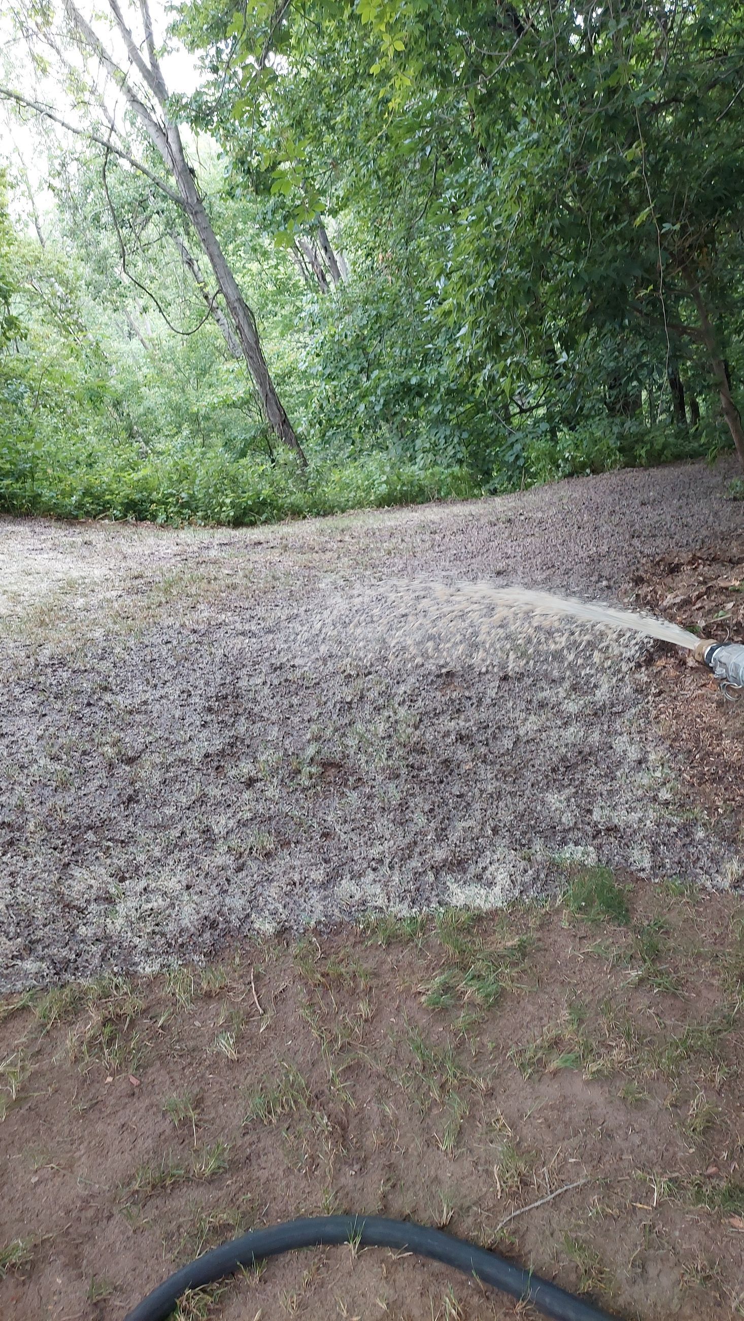 Un tuyau pulvérise de l'eau sur un chemin de terre dans les bois.