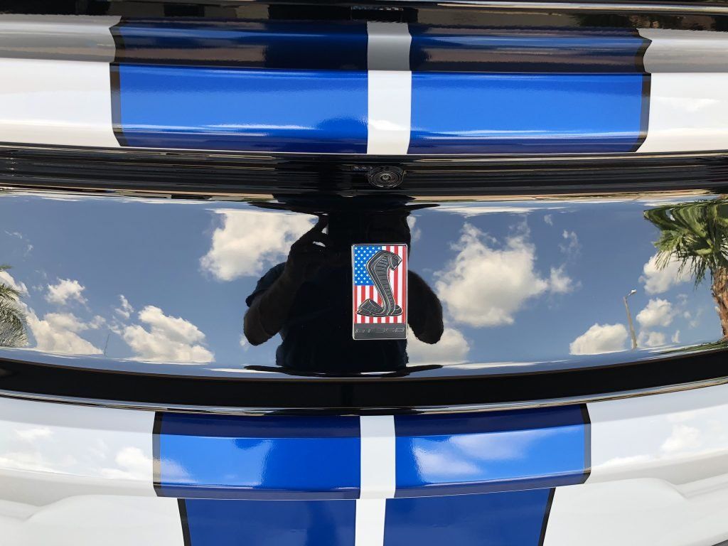 A blue and white striped car with a reflection of palm trees