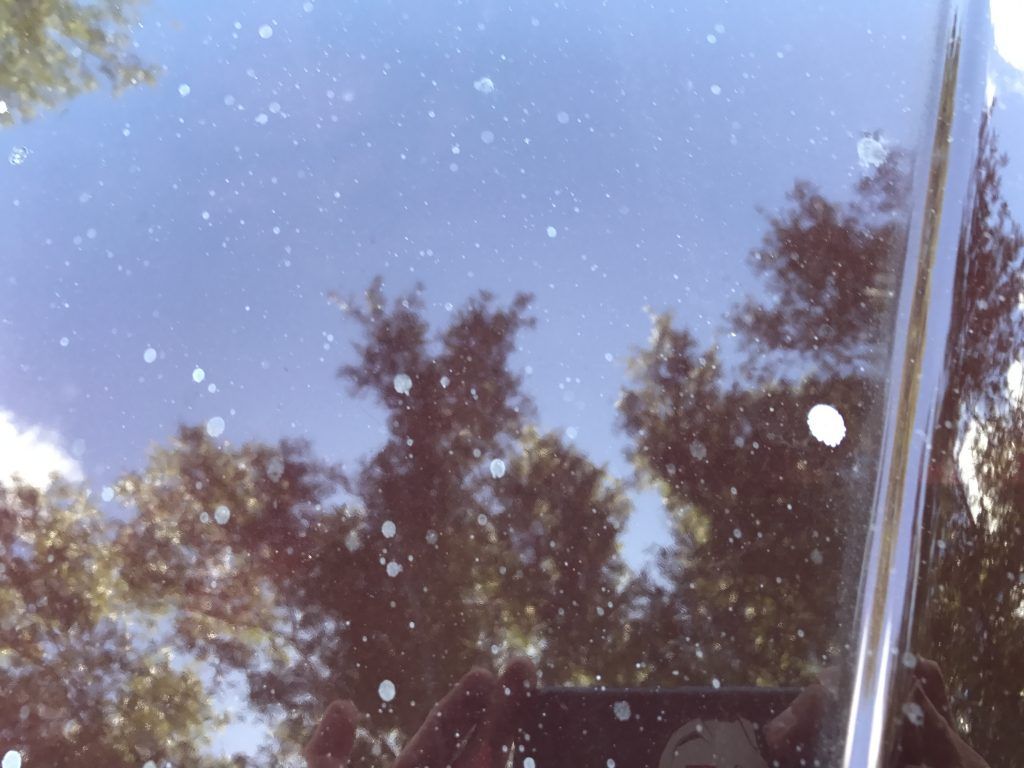 A close up of a car windshield with trees in the background