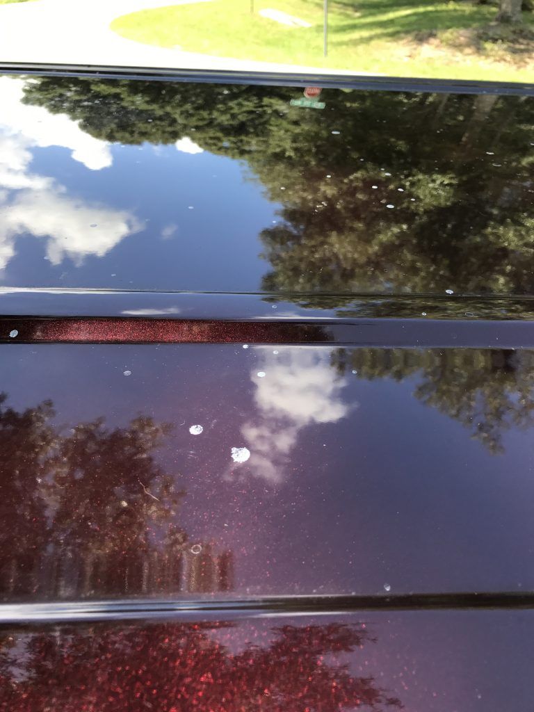 A close up of a car roof with trees reflected in it.