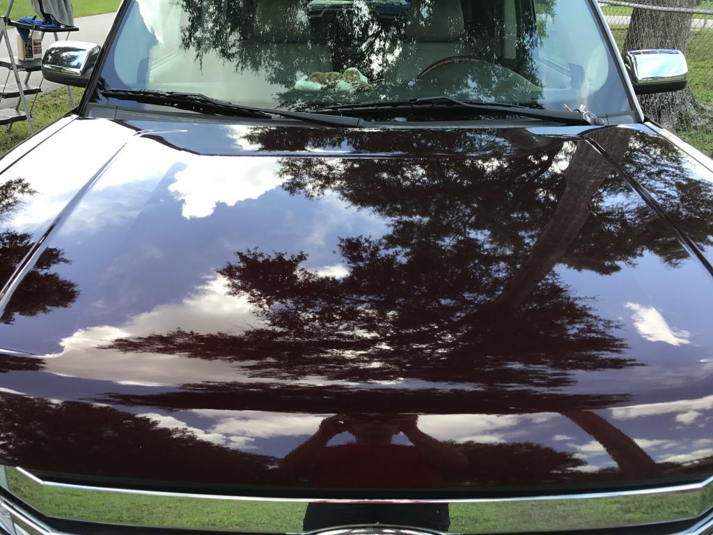 A close up of a car hood with trees reflected in it