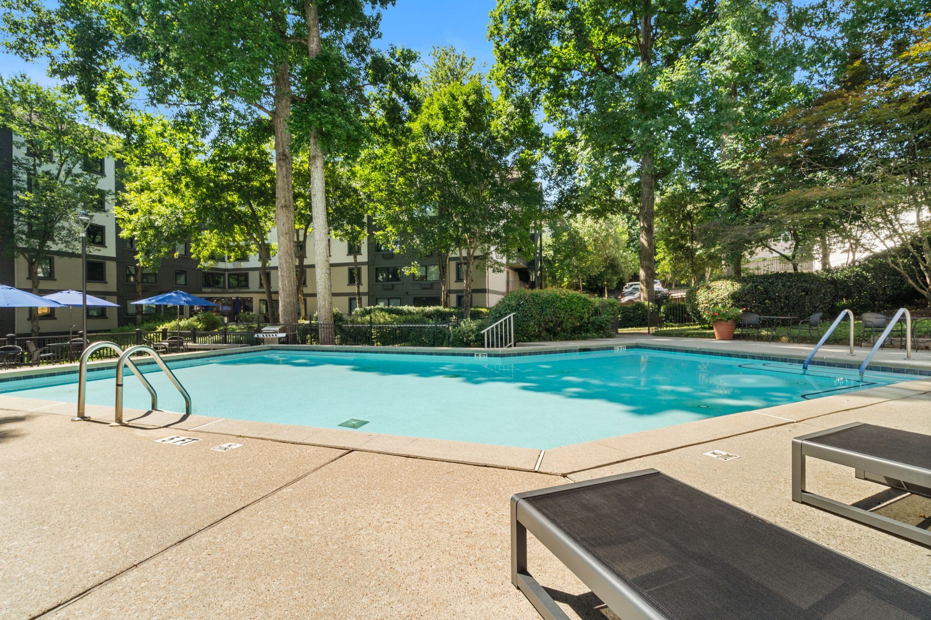 Lush green trees overlooking the pool at Clairmont Crest senior living apartments in Decatur, GA.