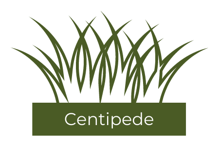 A green rectangle with the text