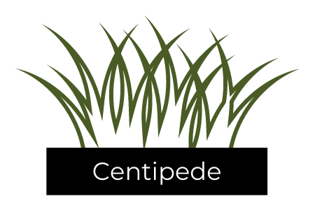 A black rectangular label with the word