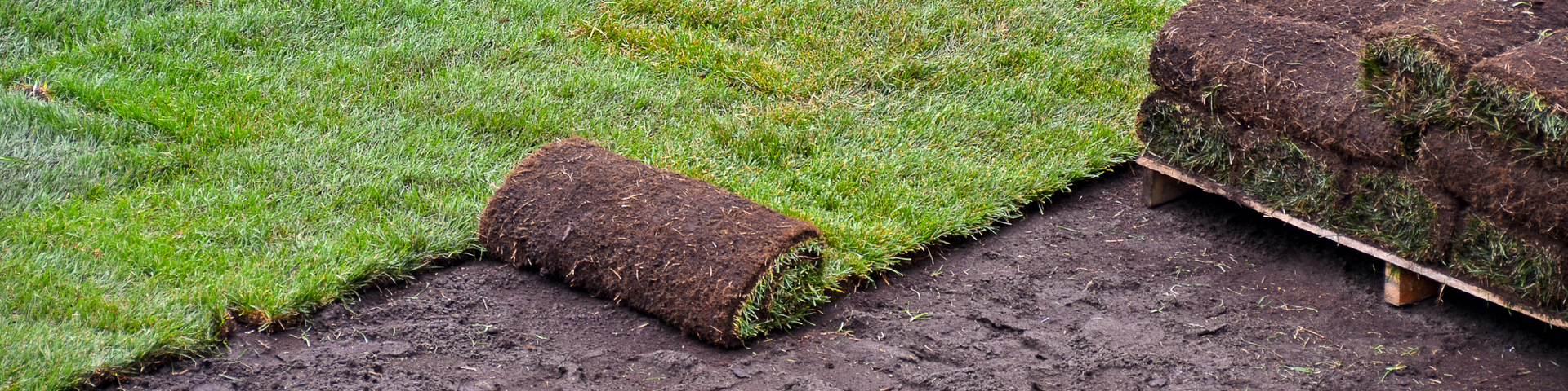 A roll of green sod sits on dark soil next to a wooden pallet stacked with more rolls of fresh turf.
