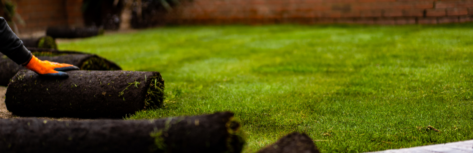 A person wearing an orange work glove lays a roll of fresh green sod onto soil in a yard.