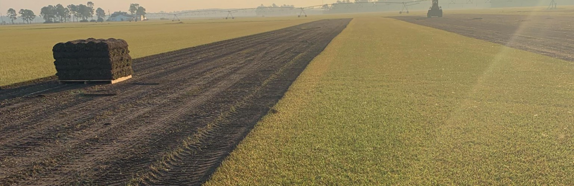 A solitary square hay bale sits in a field next to a freshly tilled strip of dark brown earth against a golden landscape.