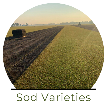 A field of harvested sod with dark soil, a pallet of grass, and text below reading