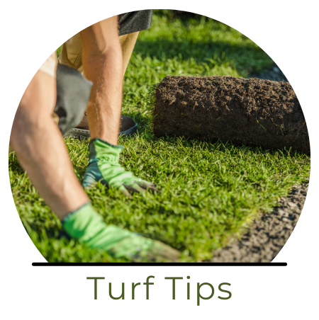 A person wearing green gloves lays down a roll of sod on a sunny lawn next to the text