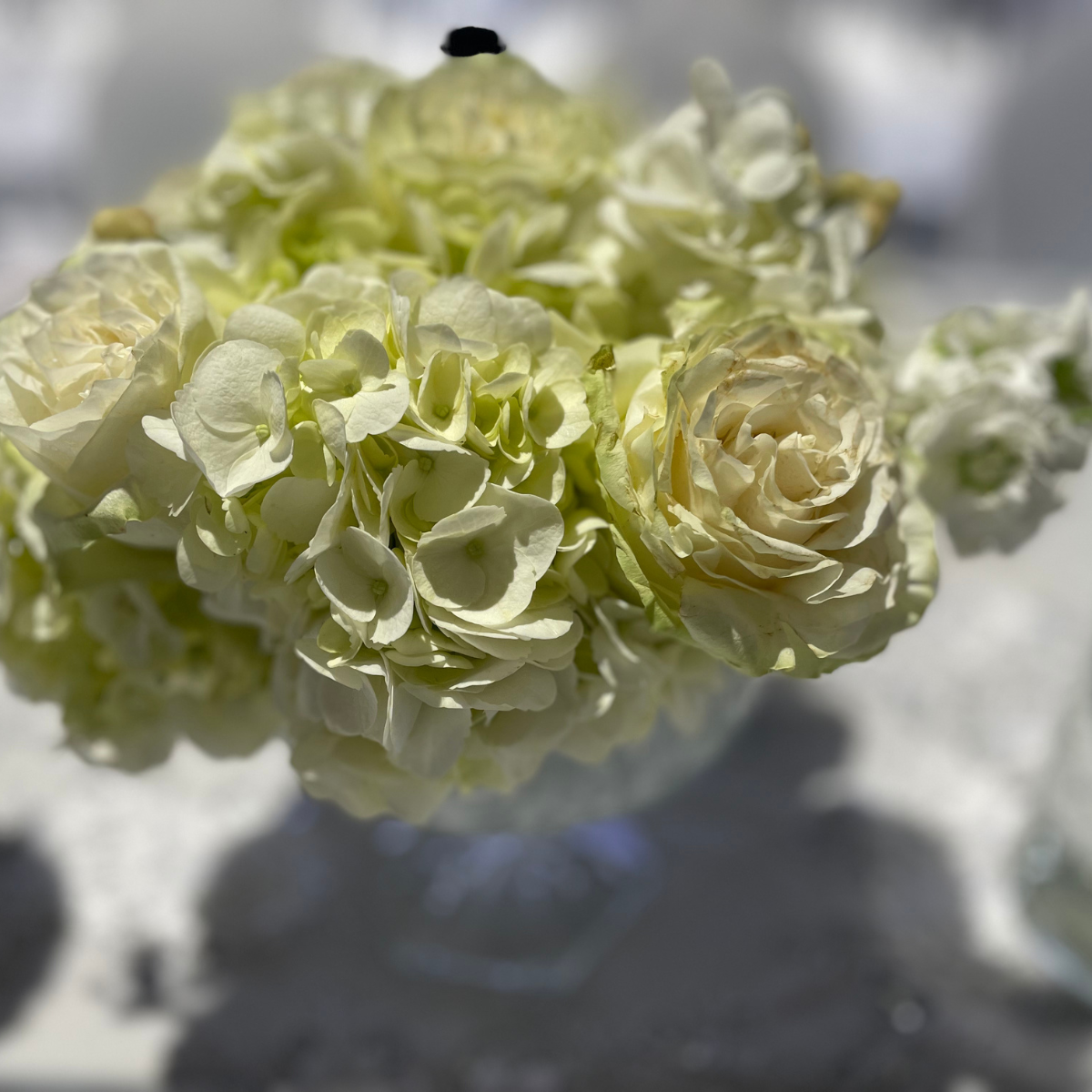 A vase filled with white flowers is sitting on a table.