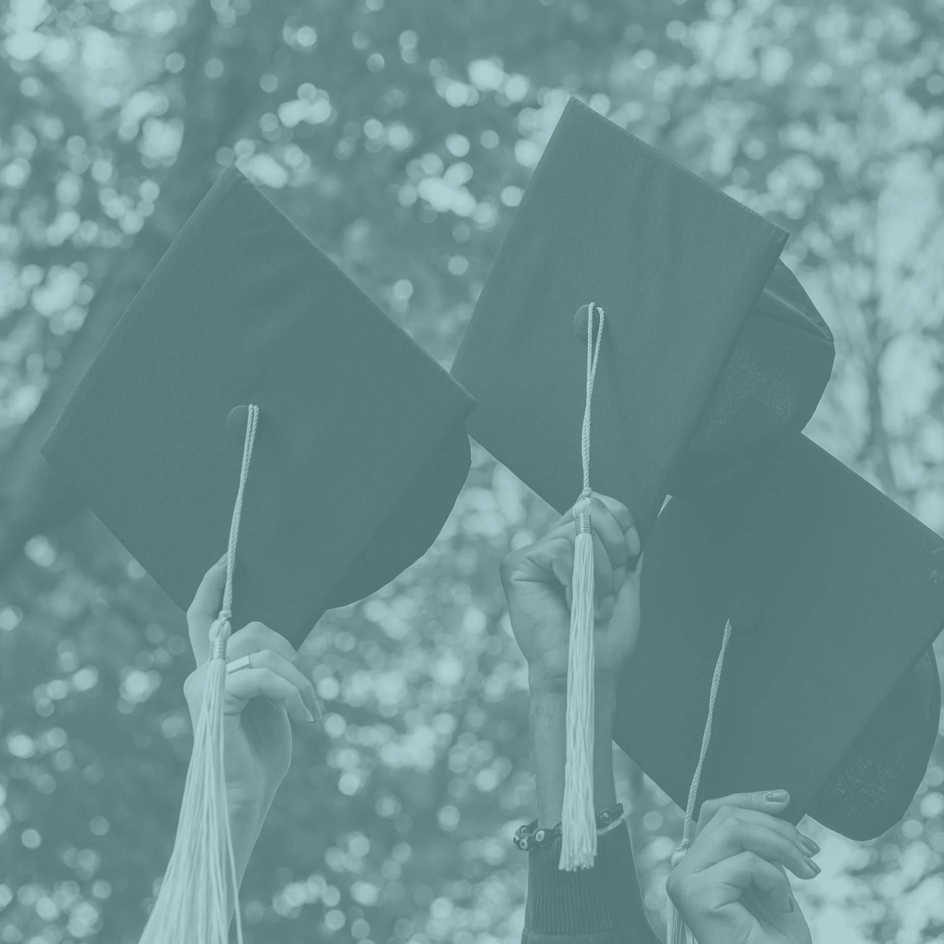 A group of people are holding their graduation caps in the air.