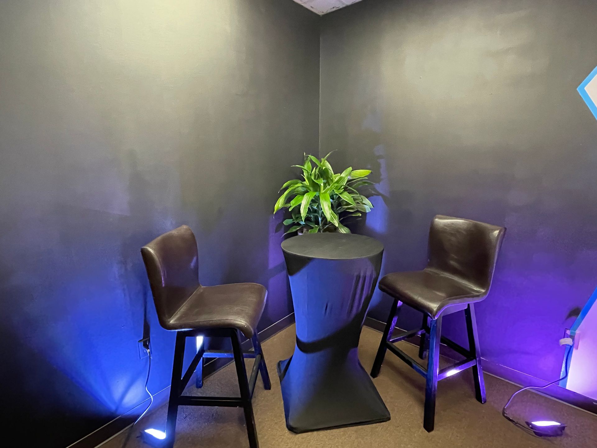 A small room with two chairs and a table with a plant on it.