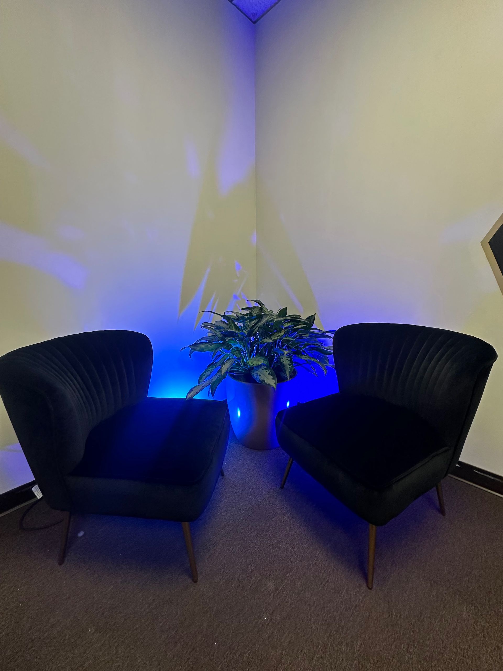 Two black chairs are sitting next to each other in a corner of a room.