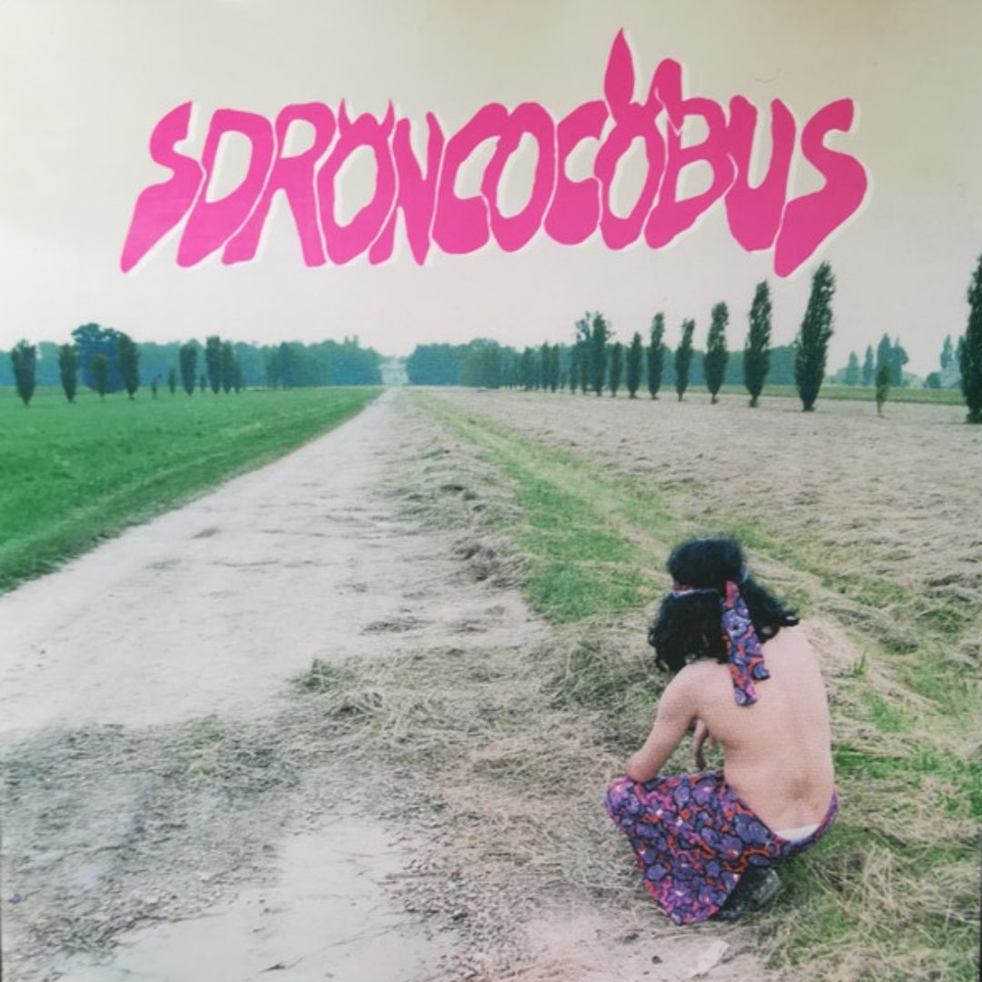 SDRONCOCOBUS