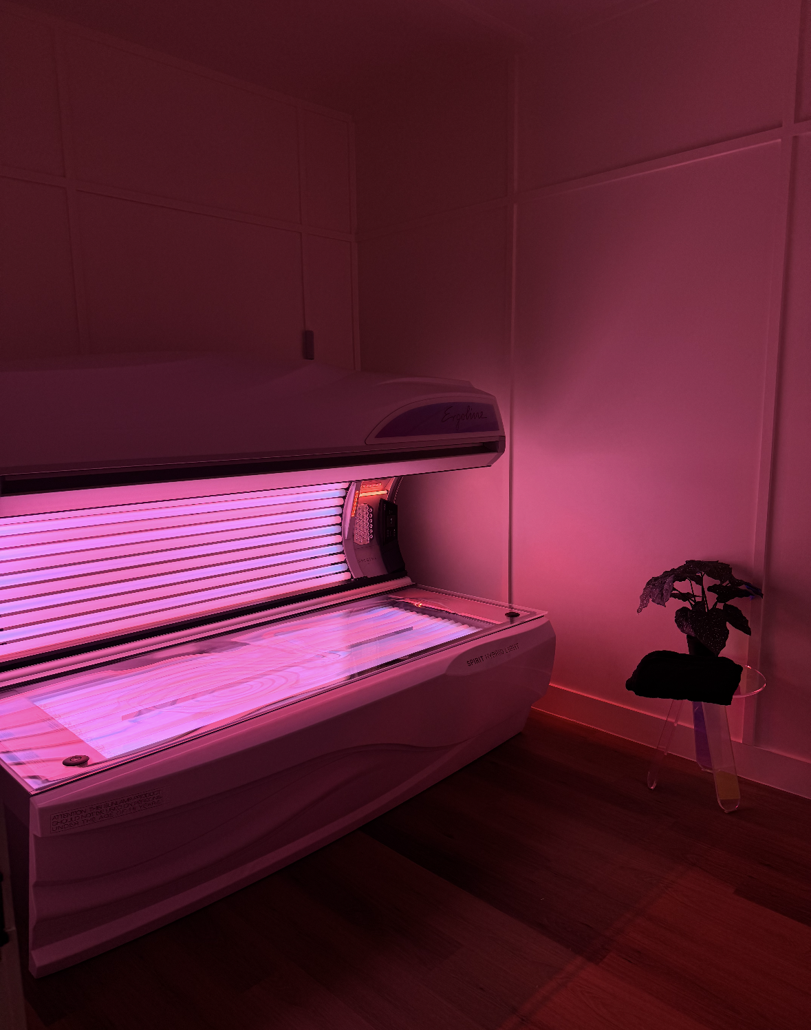Tanning bed in a dimly lit room with a potted plant. Soft pink lighting.