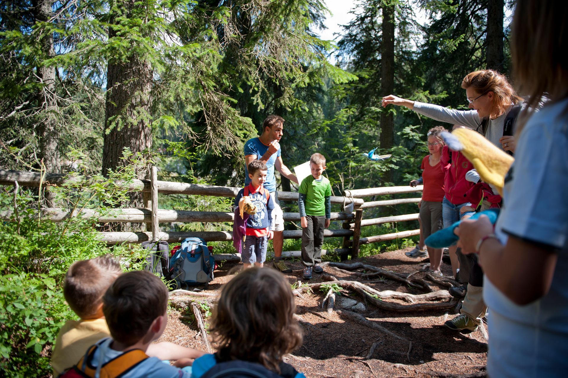 Eventi in Val d'Ega
