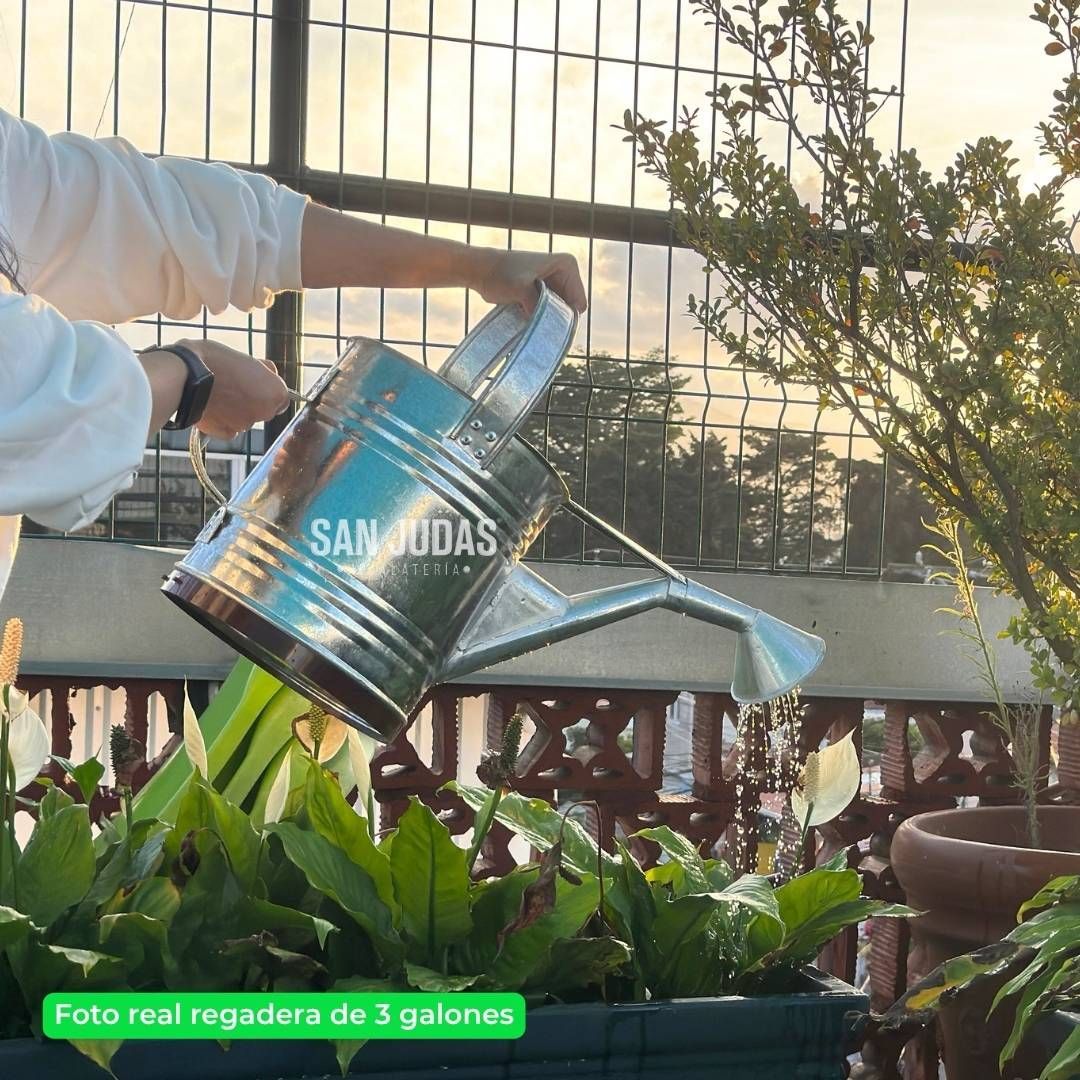 Regaderas Metálicas para Plantas y Jardín | Fabricadas en Guatemala