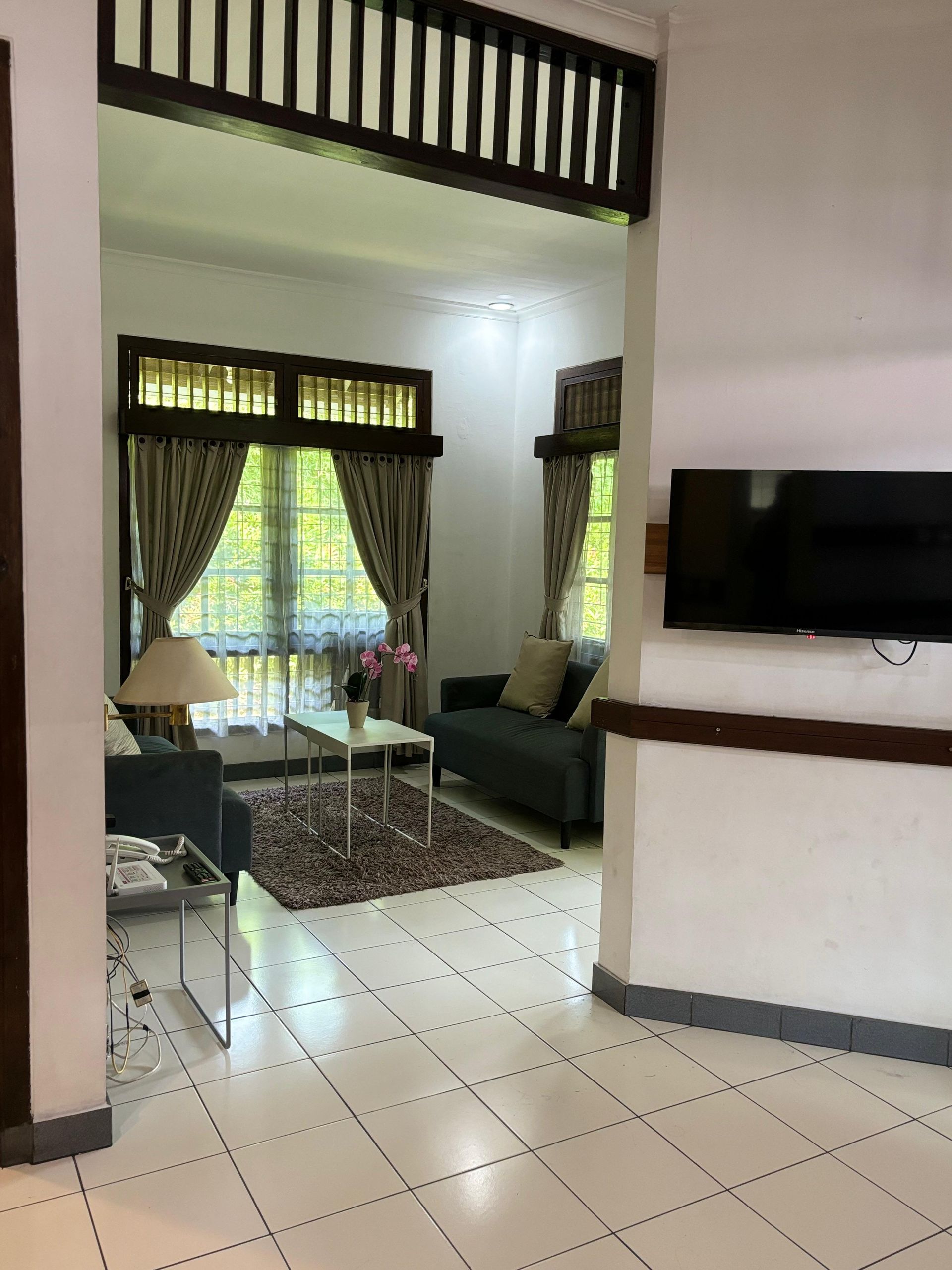 Living room interior with a sofa, rug, windows, and television.