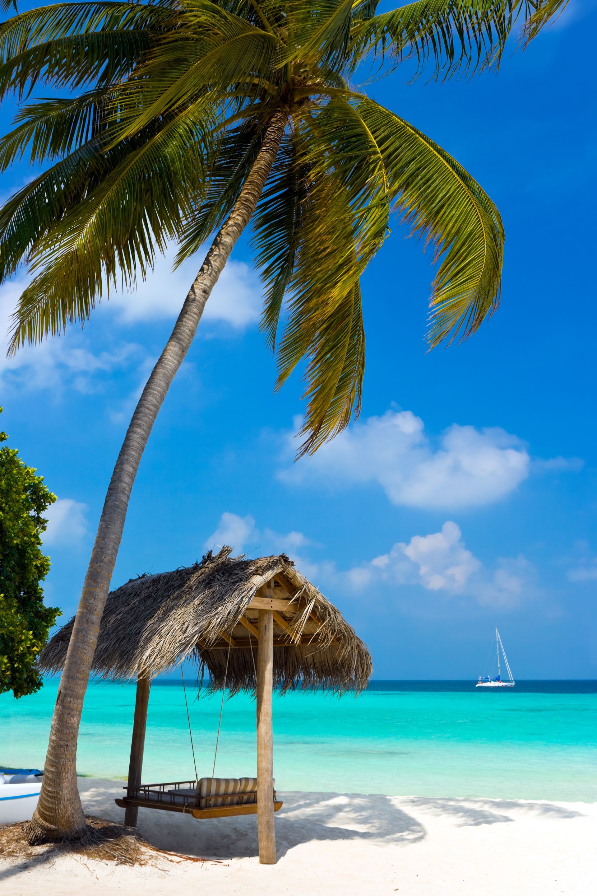 Tropical Beach