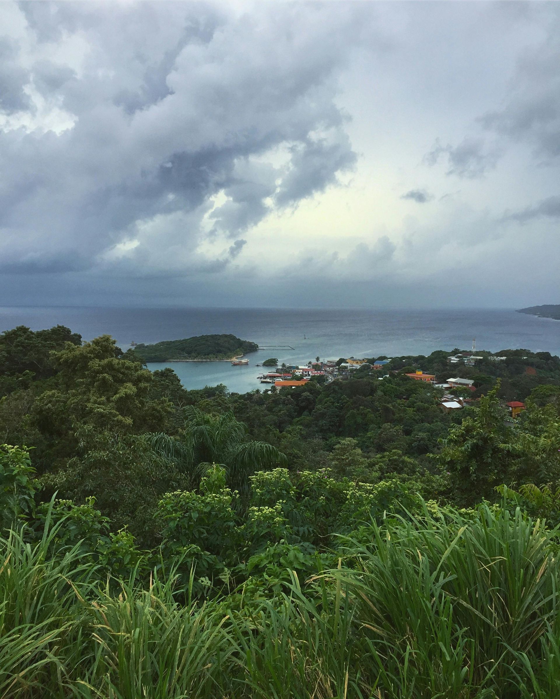 Roatan Winter Sun
